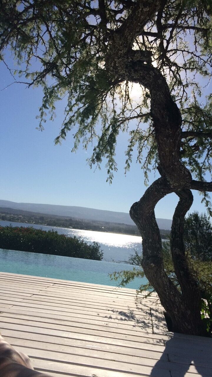 El algarrobo sobre el deck de la pileta, con el lago de fondo